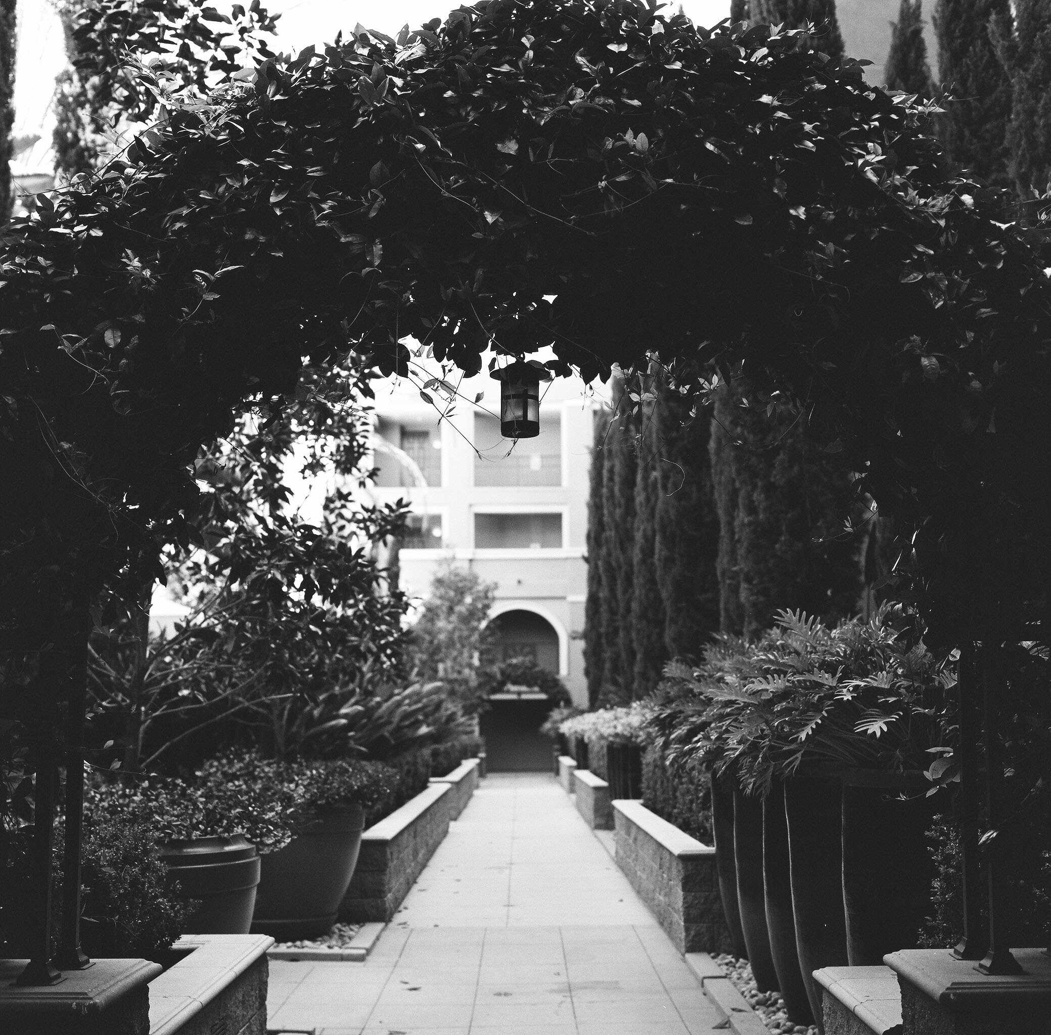 Travel portfolio image by Alex Zarth
